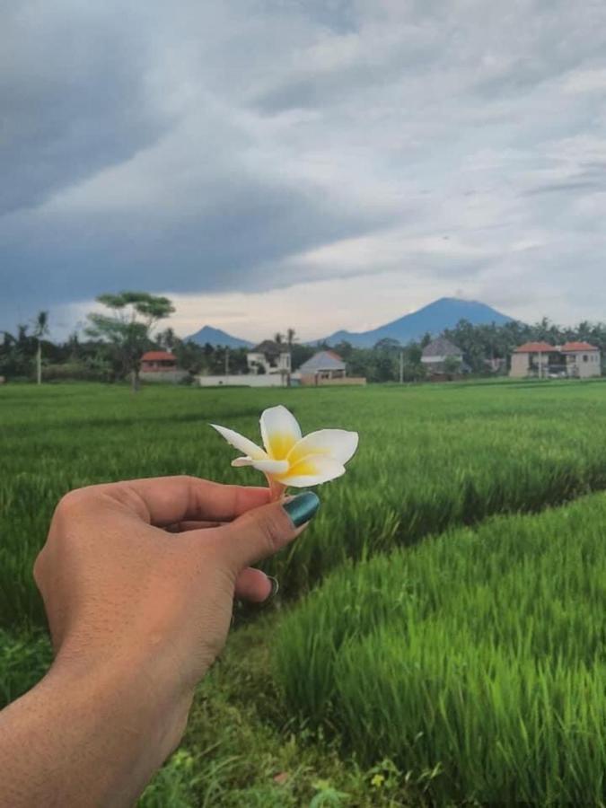 Svaha Ubud Zewnętrze zdjęcie